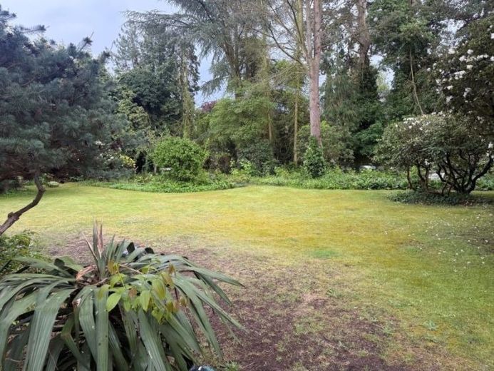 Großburgwedel: Divisible plot with existing building for your dream home - detached house, terraced house, semi-detached house, apartment building – Foto 1