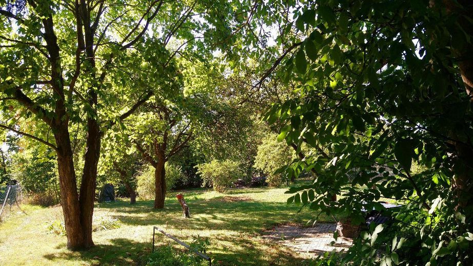 Haus am See - Wohnen wo andere Urlaub machen – Foto 14