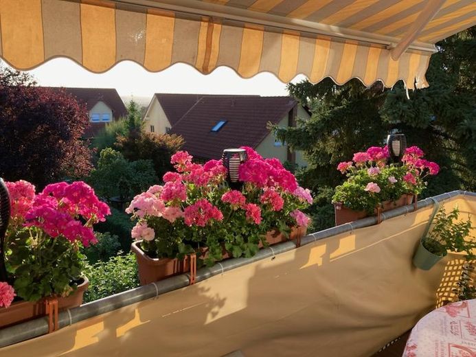 مباشرة من المالك - شقة جذابة من غرفتين مع شرفة باتجاه الجنوب الغربي وإطلالة بعيدة المدى – موقع هادئ في بيرنا – Balkon, Bild 1