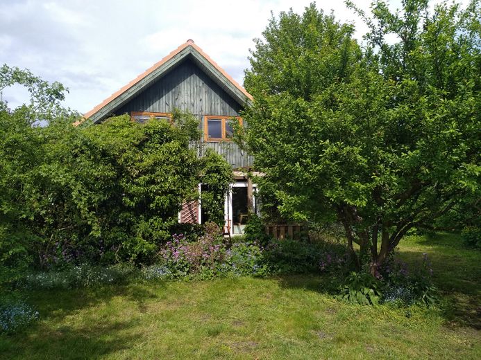 wolnostojący dom jednorodzinny z pięknym ogrodem – Südseite des Hauses mit Garten