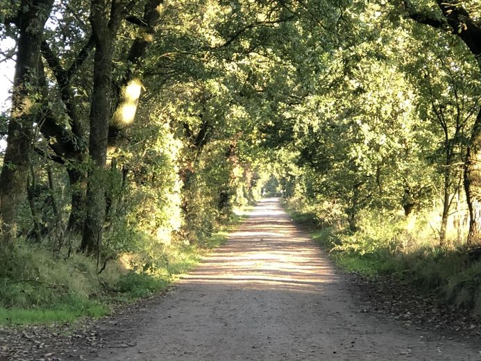 Wundervolle Spazierwege