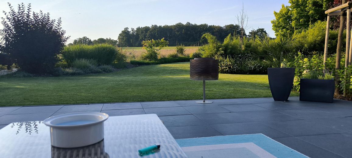 Blick morgens in den Garten