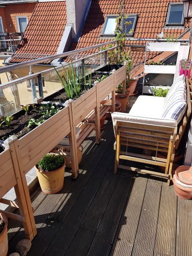 Große Dachgeschosswohnung im ruhigen Gartenhaus mit Terrasse–mitten im Samariterkiez/Friedrichshain – Balkon-Sonnensitz