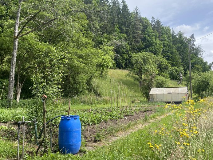 Gartengrundstück