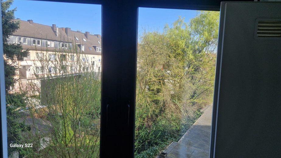 Blick aus Küchenfenster