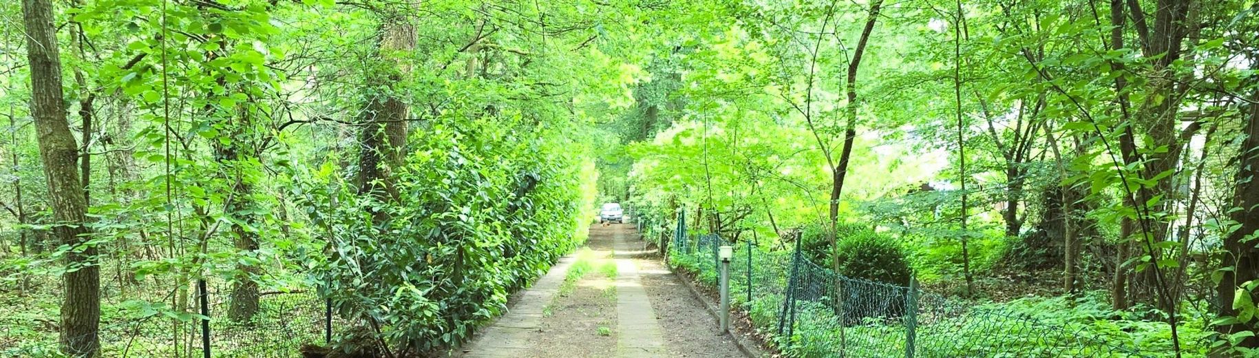 #PRECIO INIGUALABLE#TERRENO FORESTAL GIGANTESCO#REGIÓN DE HEIDE+3 CASAS GRATIS#VÉASE EL TEXTO – ZUWEGUNG