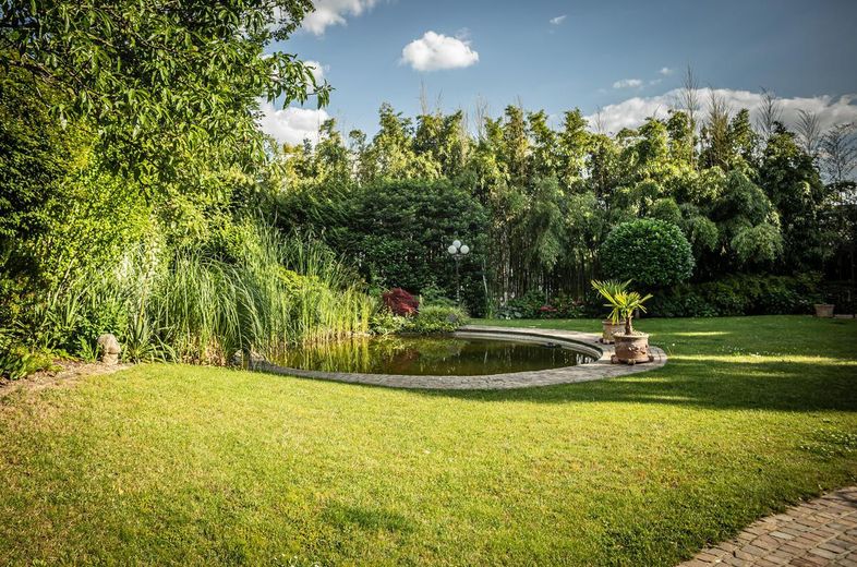 Blick auf den Schwimmteich