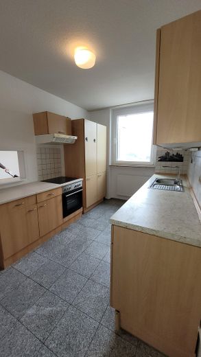 Renovierte 3 Zimmer Wohnung mit Einbauküche – Küche