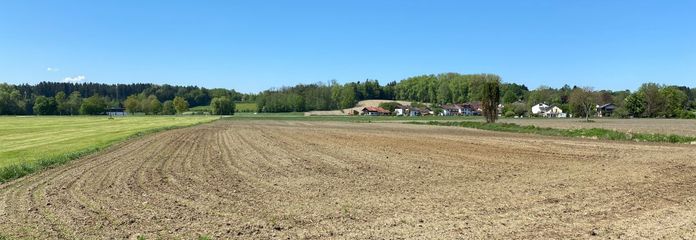 Übersicht auf die Fläche