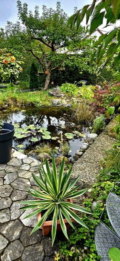 Garten, Terrasse u. Fischteich