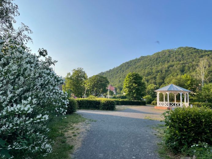Idyllische Villa/Mehrfamilienhaus in grünem Erholungsort (Harz) - mit Ausbau-/Investmentpotential – Harztor/Ilfeld Kurpark