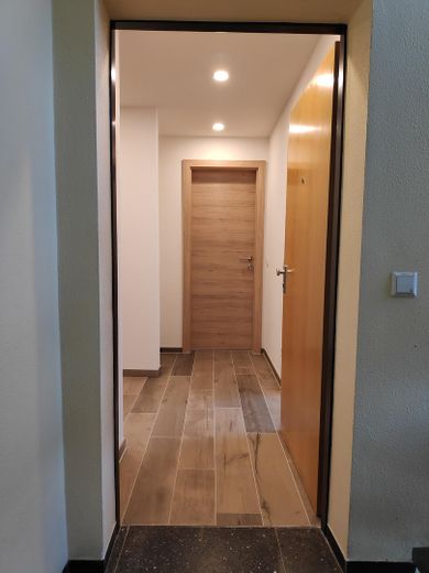 Appartamento al piano rialzato a Neuhausen, 3 1/2 locali, completamente ristrutturato, cucina componibile, Internet 1 Gb/s, 800 m fino alla S-Bahn – Foto 2
