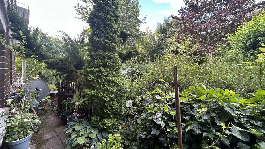Impression Garten 2
