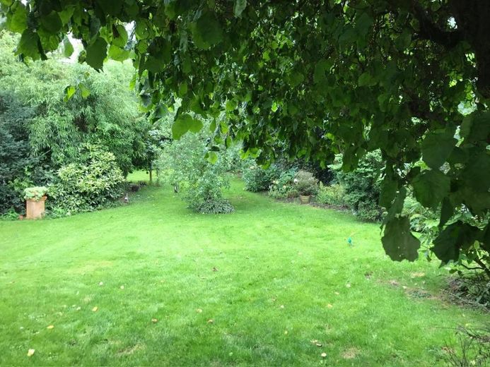 Ruheoase in zentraler Lage in Marl - ein Haus, unzählige Möglichkeiten – Garten