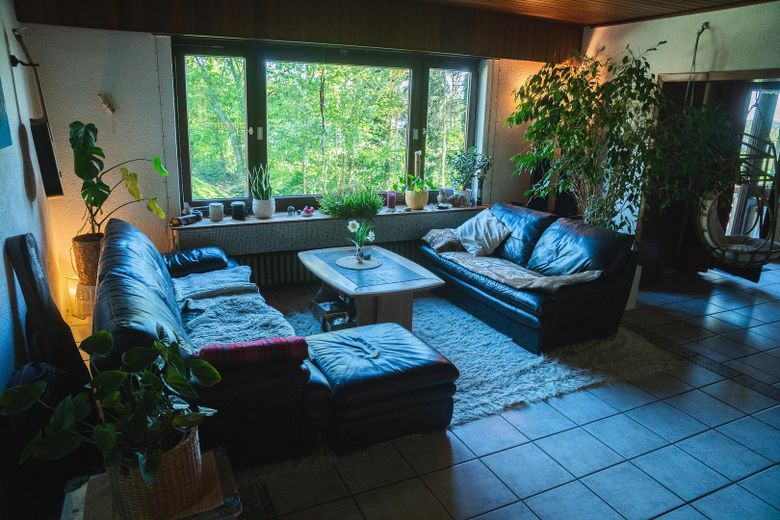 1,4 ha eigenes Land mit Wiese, Wald & Jagdhütte — Hunsrück-Landsitz in Einzellage – Foto 16