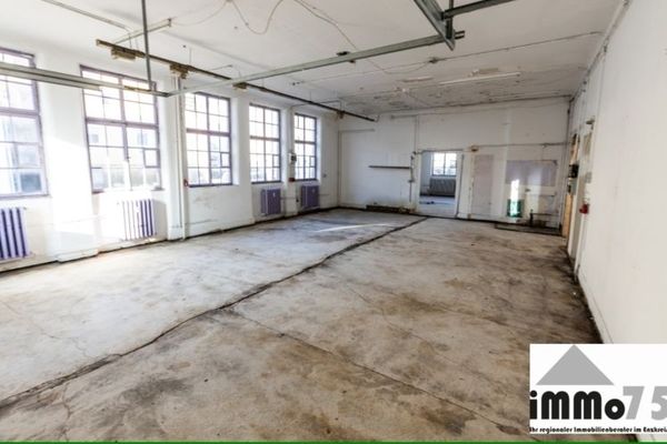 historisches altes Schulhaus für Kreative, Ärzte, Pflege - viel Raum für Ihre Ideen und Ihr Gewerbe