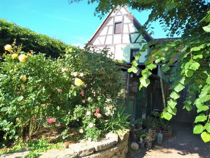hinterer Garten 