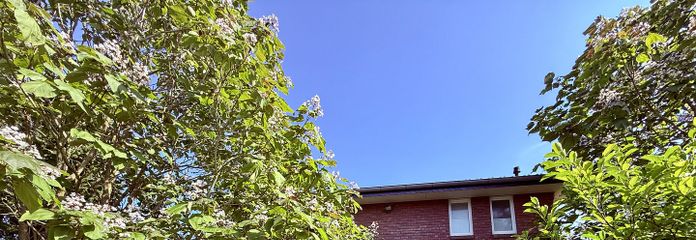 Großzügiges Einfamilienhaus