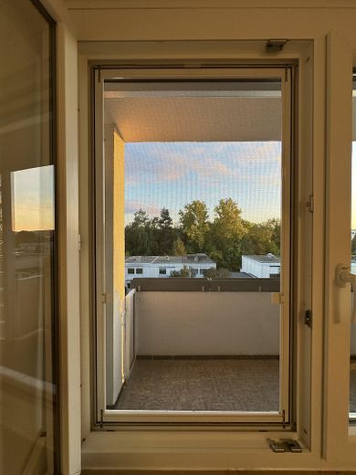 Fliegengitter - Fenster