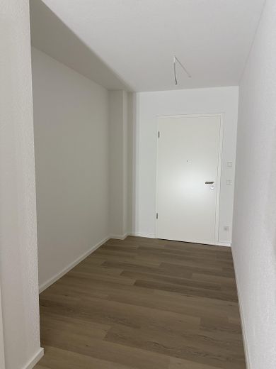 Neubau 3 Zimmer mit großer Terrasse, gehobene Innenausstattung – Flur Blick zur Haustür