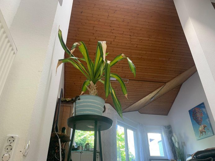 Wohnzimmerblick vom Dach/ Bad 