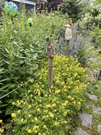 Jasny, energooszczędny dom jednorodzinny w spokojnej lokalizacji na obrzeżach Ansbach – Gartenbilder