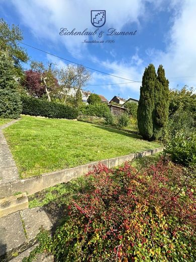 Gepflegtes 2-3 Familienhaus in Ortsmitte von Quierschied – Garten