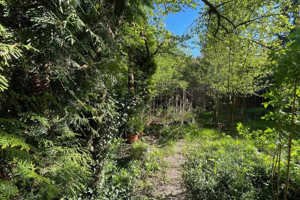 Appartamento di proprietà con giardino privato - Vicino a Rehberge