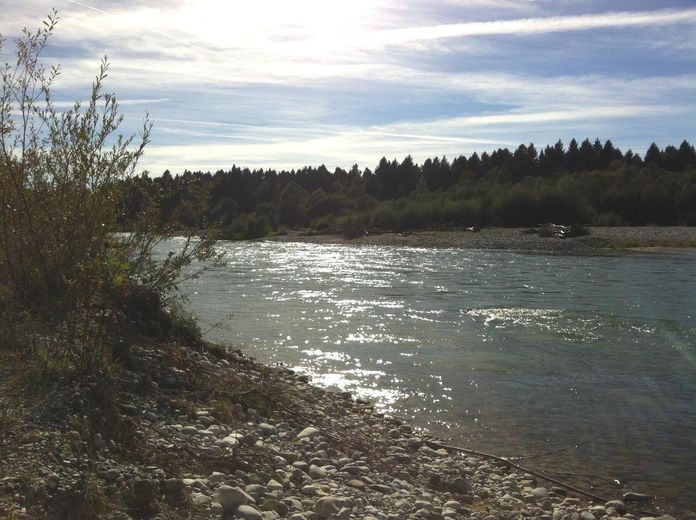 Naturschutzgebiet Isarauen