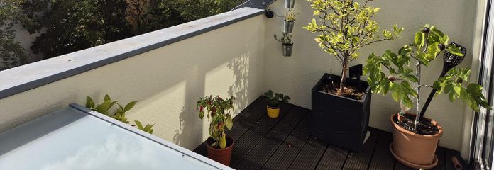 Dachterrasse 