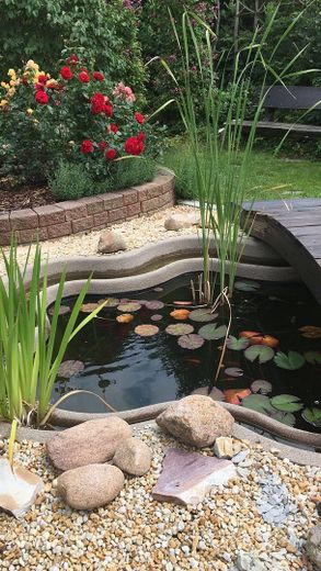 Freistehendes Mehrgenerationenhaus am Ortsrand – Garten