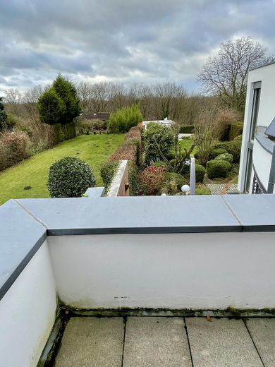 Ruhiger Blick ins Grüne 