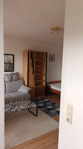 🌿 Bezugsfertig vollmöbliert – 1-Zimmer-Wohnung im vollsanierten A+-Haus mit Balkon! 🌳 – Wohnraum