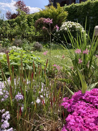 Garten Detail