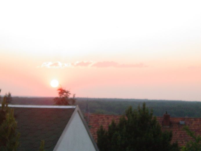 Dresden Bühlau, Apartment mit Blick über die Bäume – Foto 9