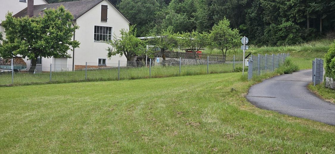 Wiese Süd