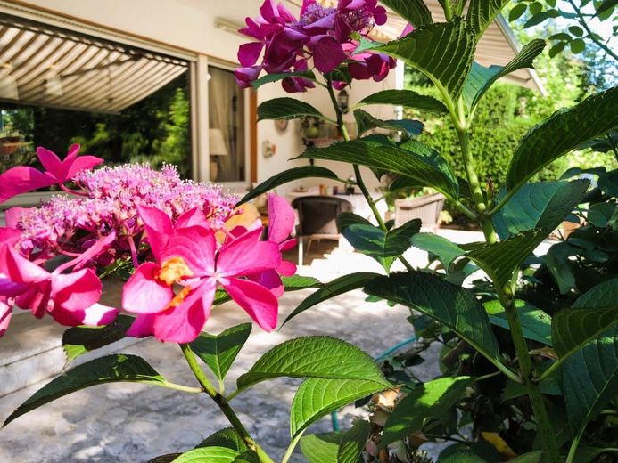 Terrasse im Sommer