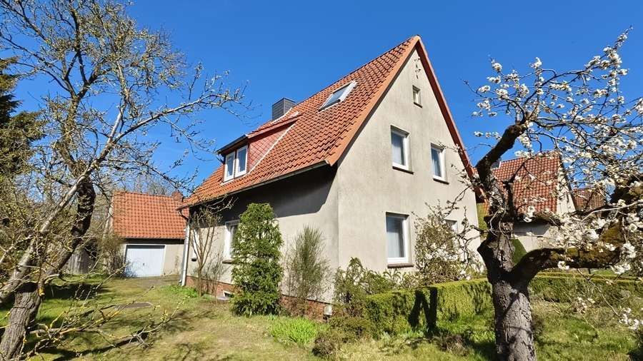 Eldingen - Verborgene Perle: Einfamilienhaus + Garten + Obstbäume - wer erweckt mich zu neuem Leben – Aussenansicht 4