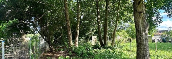 Dein Tiny-House-Traum startet hier – Grundstück mit positivem Bauvorbescheid