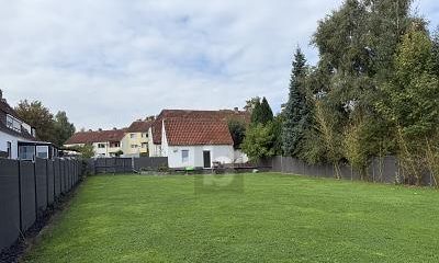 1767471318_ff1d29.jpg