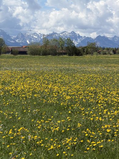 Besonderes Allgäu-Chalet: Hygge-Gefühl, 680 m² Südgrundstück & freier Alpenblick – Foto 40