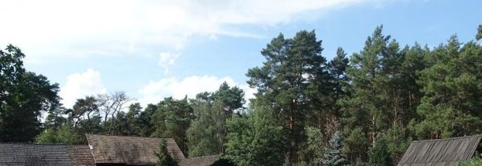 Terreno edificabile ai margini del bosco – a pochi minuti a piedi dal lago Briesener