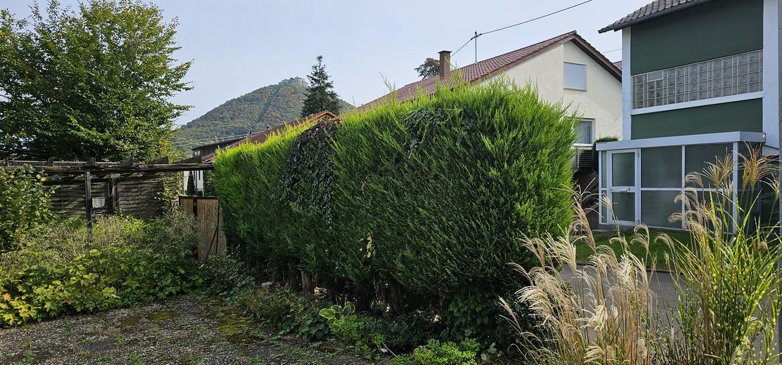 Vorgarten