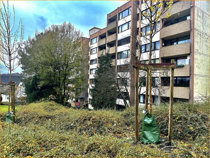 Frontansicht