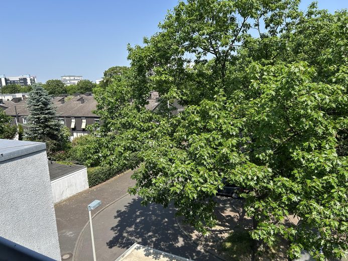 Blick aus dem Wohnzimmer