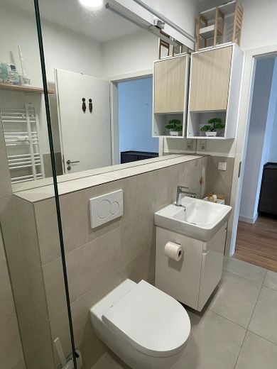 Appartement moderne au rez-de-chaussée, accessible aux personnes à mobilité réduite, avec jardin privatif – Badezimmer