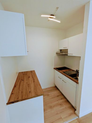 Appartement moderne meublé de 1 pièce à Stuttgart Mitte – Einbauküche