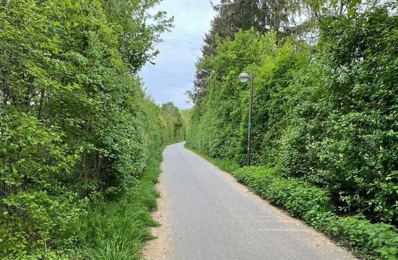 Dieburg में 2 कमरों वाला अपार्टमेंट, पहली मंज़िल – Im Grünen