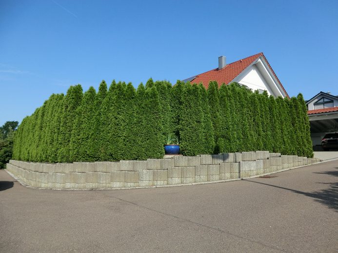 Commission-free detached house on the outskirts with a dream garden! – Thujahecke