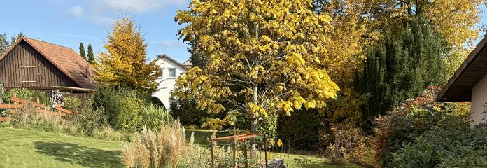 Blick ins Grundstück